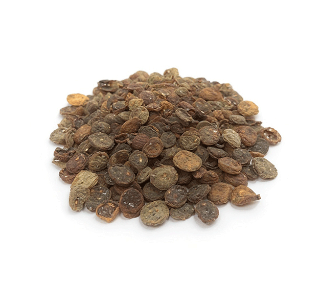 kuru-kayisi-asma-cekirdekli-11