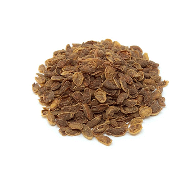 kuru-kayisi-asma-cekirdeksiz-1